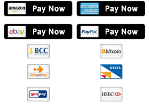 pay-now-buttons